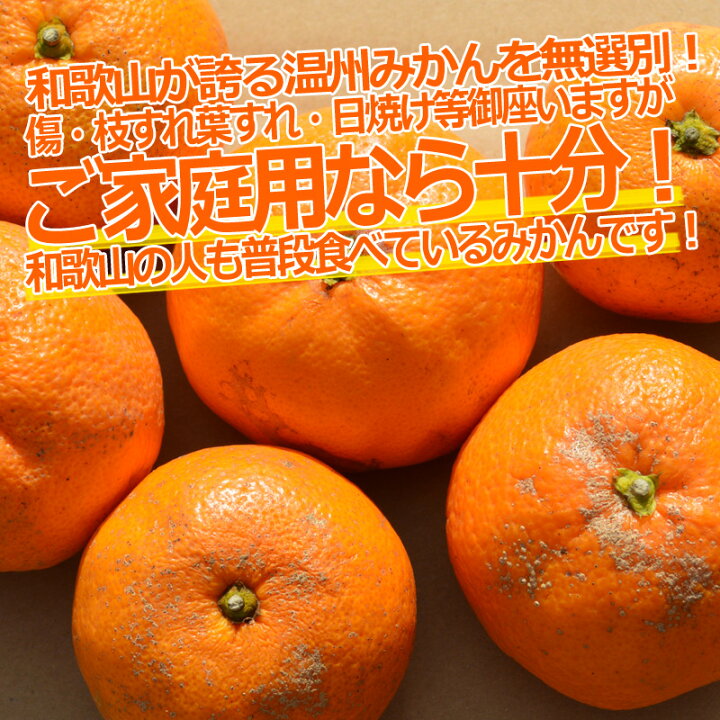 楽天市場】みかん 10kg 訳あり ご家庭用 和歌山県産 産地直送 無選別 わけあり 甘いミカン 送料無料 : 紀州万屋楽天市場店 楽天市場】みかん 10kg 訳あり ご家庭用 和歌山県産 産地直送 無選別 わけあり 甘いミカン 送料無料 : 紀州万屋楽天市場店