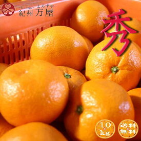【予約】みかん 秀品 10kg（箱込約10kg） 和歌山県産 温州みかん 産地直送 送料無料