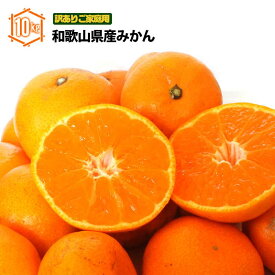みかん 10kg（箱込約10kg） 訳あり ご家庭用 和歌山県産 産地直送 無選別 わけあり 甘いミカン 送料無料