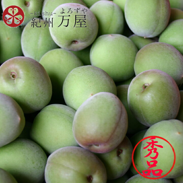 楽天市場】【予約】本場 紀州和歌山産 紀州南高梅 青梅 秀品 5kg 