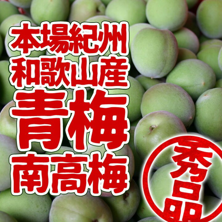 楽天市場】【予約】本場 紀州和歌山産 紀州南高梅 青梅 秀品 5kg 