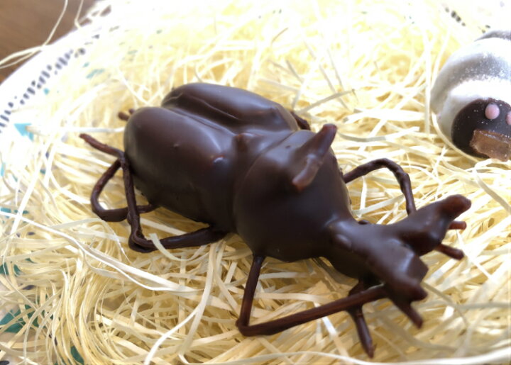 楽天市場 超リアル かぶと虫の成虫チョコレート おもしろチョコ チョコレート おもしろ お菓子 プレゼント インスタ映え お取り寄せスイーツ 面白い おもしろい ユニーク 昆虫 カブトムシ カブト虫 リアル サプライズ プレゼント 贈り物 誕生日 キッズ 面白い お菓子 父