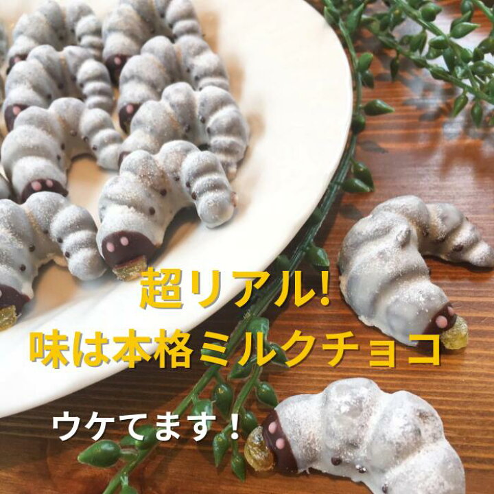 楽天市場 幼虫チョコ 10匹 高評価4 6超 クール便送料無料 おもしろチョコ おもしろ お菓子 プレゼント スイーツ インスタ映え ユニーク インパクト チョコ 変わった チョコレート 子供 お取り寄せスイーツ 面白い サプライズ 誕生日 ギフト お菓子の小松屋本店