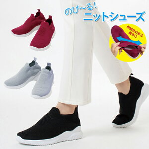 C V[Y Xj[J[ fB[X _炩 bV Xb| ̂т̂уjbg EH[LOV[Y jbgn Lk i[XV[Y  O 23cm 24cm r 􂦂  y3