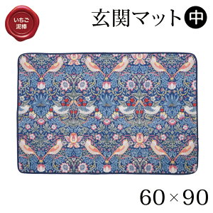 X[hRNV փ}bg TCY 60× 90cm D_ X  }bg   oX}bg ʑ  ӂӂ Nѐn ɂ ʏ }bg O 90cm 唻 傫