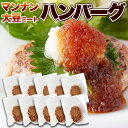 大豆ミート ハンバーグ 10個 ソイミート ミンチ 置き換え ダイエット ダイエット食品 満腹感 グルテンフリー ヘルシー 低カロリー食品 代替肉 ハンバーグ 温めるだけ 低糖質 ベジタリアン 国産 こんにゃく 【325211-10】