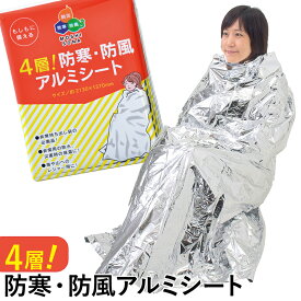 楽天市場 アルミシート 防寒の通販