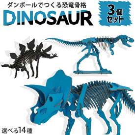 【選べる3個セット】ダイナソー ペーパークラフト 恐竜 骨格 工作キット ダンボールクラフト プラモデル 模型 かっこいい 飾れる 小学生 男の子 自由研究 夏休み 誕生日 プレゼント 知育 おもちゃ 製作 クラフト【342058-300】