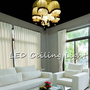 y[J[z  CeAƖ ؂₩ V[OCg 5000[ LEDV[OCg t Hsv Rt VƖ CeA ԐڏƖ LEDV[OCg LED 