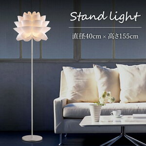 y[J[zԐڏƖ  u tACg H155cm  t[ _A Ԃт X^hCg tAX^h Cg Ɩ k u^ X VF[h S[WX  TC