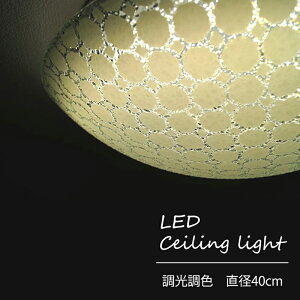 y[J[zLEDV[OCg VƖ t  a40cm Rt F V[OCg LED k Q zeCN rO Ɩ Cg IV 4000lm 邢 V