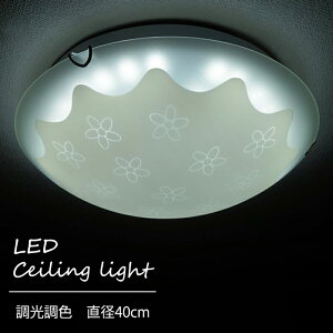 y[J[z킢 ԕ i` CeA Ɩ LED V[OCg Rt F 40cm q  ͗l VƖ |V[O Cg KXVF[h 