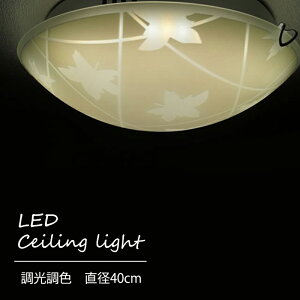 y[J[za_ a Ɩ LED  gt ݂    F VƖ t a KX ی^ VF[h Rt a40cm Hsv |V[O Cg 