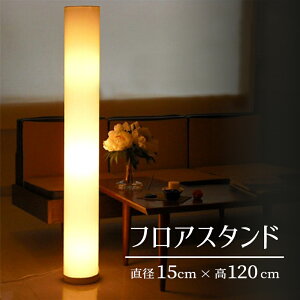 y[J[zLEDΉ 3 邢 tAX^hCg 120cm Vv _  ԐڏƖ X X^hƖ u tACg tAv ~ ^ LEDƖ LEDCg  