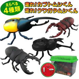 楽天市場 おもちゃ カブトムシ クワガタの通販 楽天市場 おもちゃ カブトムシ クワガタの通販