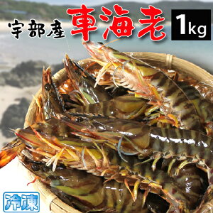 ԊCV ԃGr 1kg Ԃ CV  ܂ FY  Ⓚ CN R yzy325232z