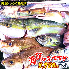 【漁師厳選】詰め合わせ 下処理 送料無料 鮮魚 おまかせ 魚 産地直送 詰め合わせ 鮮魚 福袋 鮮魚ボックス 漁師おススメ お刺身 さしみ 取り寄せ お取り寄せ 鮮魚 直送 鮮魚BOX おいしい 美味しい 海鮮 詰め合わせ 下処理【送料無料】 食品 【325196-7880】