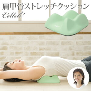 w b Xgb`NbV ق w   ObY }bT[W c{ Cellsh b͂  p 328518