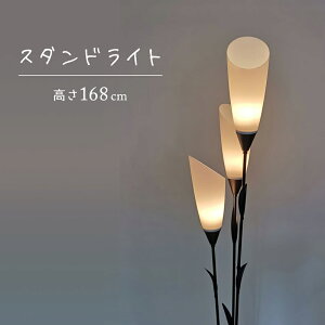 X^hCg   168cm w̍ tAX^hCg tACg X X^h 3 LED J[ ԐڏƖ u _ zeCN CeA Ɩ 354193