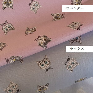 IbNX n GKgȃLbg qL { 킢 Vv L LD LObY  L  ʉ ʊw CAT | z { { GKg