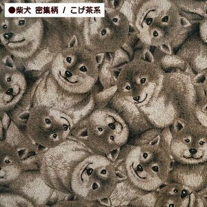 Ȗ LoX n  Č W 啿 Ă R イイ W 킢 Aj}  vgn  z |