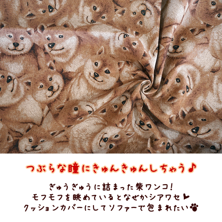 柴犬 小太郎 レスラー 立足歩行犬 キャンバス生地 ハンドメイドに