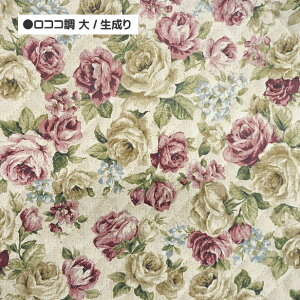 LeBOn RR ԕ    KN RR vgn   z | ʉ ʊw Lgn / [֔z50cm܂