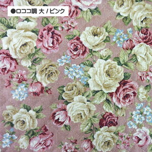 LeBOn RR ԕ    KN RR vgn   z | ʉ ʊw Lgn / [֔z50cm܂