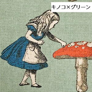 �s�v�c�̍��̃A���X ���n �L�m�R ���� �h�b�g �Ȗ� �L�����o�X ������� ���b�X���o�b�O���n �e�j�G������ ���� �ʉ� �ʊw ���̎q