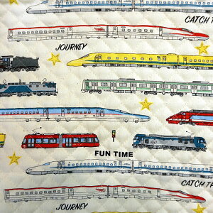 LeBO n V C @֎ d  bXobO Ɏgp  w ʉ ʊw iw zc܍ | [50cm܂