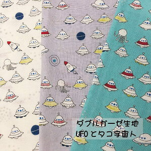 WK[[ _uK[[n UFOƃ^RFl n 100% n }XN@z