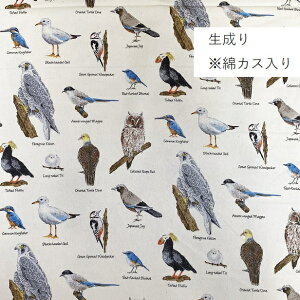 生地 ツイル生地 野鳥図鑑 綿100% 通園通学 入園入学 動物 アニマル 男の子 こども かっこいい 野鳥 鳥 bird フクロウ 梟 シマエナガ キツツキ 鷹 カワセミ リアル 自然界 手作り レッスンバッグ