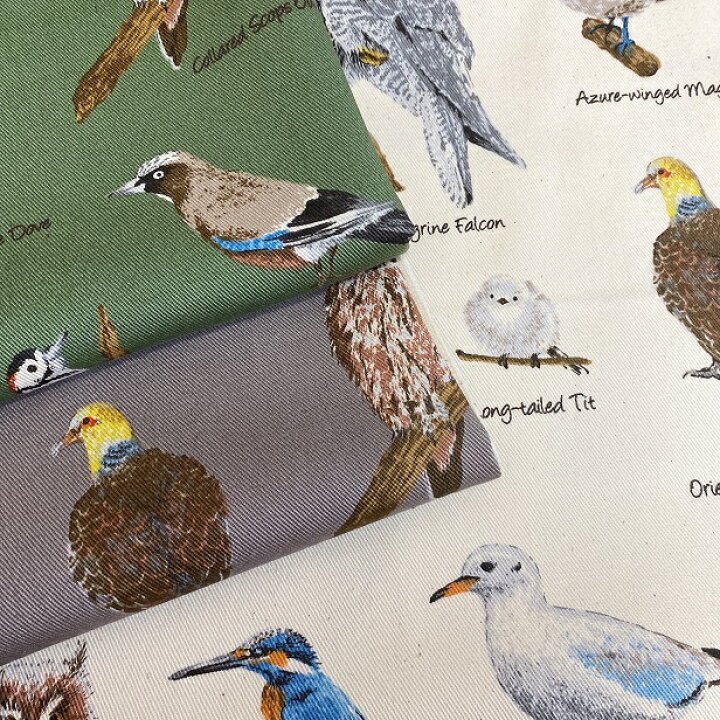 楽天市場】生地 ツイル生地 野鳥図鑑 綿100% 通園通学 入園入学 動物 
