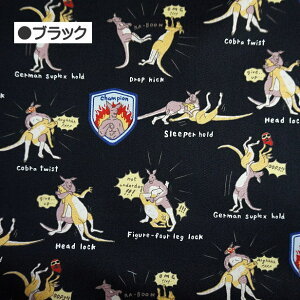 cC n JK[ vX X[ ȃJX 100 z |  Aj}  KTS6806 Rbg΂₵