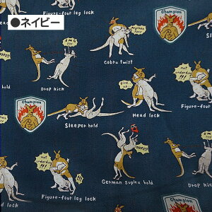 cC n JK[ vX X[ ȃJX 100 z |  Aj}  KTS6806 Rbg΂₵