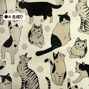 ȖLoXn Big L 傫ȔL ˂ lR 傫ߕ L ݃J[ ʃhbg z | 100% LoX n 킢