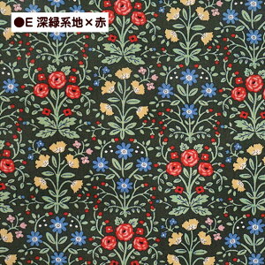 u[h vg n t[C ԕ ԕ  t[  і͗l i KI  ͂ 100% | Rbg