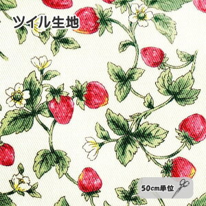 cC n C`S Xgx[K[f |   Xgx[ ʎ  n[u  K[[