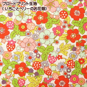 u[hvgn@100% ƃx[̂Ԕ