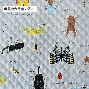 LeBOn si j̎q  킢  bXobOn {  lC  w ʉ ʊw | n  V / 50cm܂Ń[։ / Lg