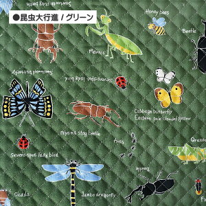 LeBOn si j̎q  킢  bXobOn {  lC  w ʉ ʊw | n  V / 50cm܂Ń[։ / Lg