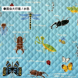 LeBOn si j̎q  킢  bXobOn {  lC  w ʉ ʊw | n  V / 50cm܂Ń[։ / Lg