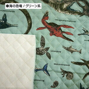 LeBO n C̋  w ʉ ʊw | n  / 50cm܂Ń[։ / bXobO  Lg