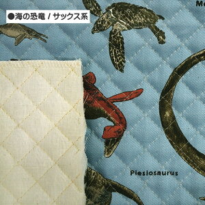 LeBO n C̋  w ʉ ʊw | n  / 50cm܂Ń[։ / bXobO  Lg