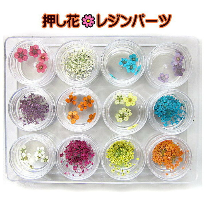 楽天市場】押し花 レジン レジンパーツ : 手芸レースのフェアリーレース