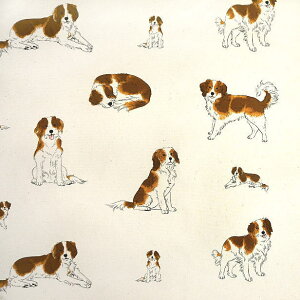 IbNX n 召  A R[CPzfBG fRs   킢 b lC { R kooikerhondje  bXobOn | ʉ ʊw  w