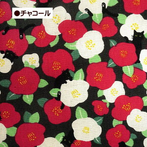 V[`O n a ւƍL ԕ L a 100% | L L ˂ lR ؂₩ coL Rbg