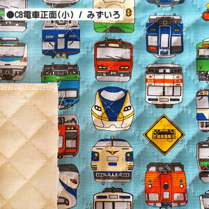 n LeBOn d   蕨 ݗ S  V  n z  w ʉ ʊw j̎q dԕ | LbYh [ւ50cm܂