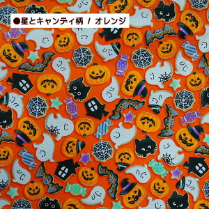 V[`O n nEB ƃLfB   ΂ pvL gbNIAg[g WbNI[^ X^[ | w偂̑ L َq ڂ RE Halloween n