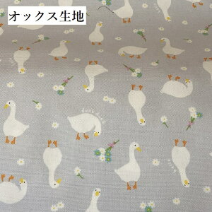 IbNXn U Aq O[n  킢  K[x ԑ  duck ӂ i` 100 {